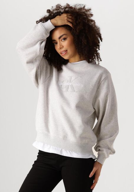 Graue CALVIN KLEIN Pullover CHENILLE MONOLOGO CREWNECK - large