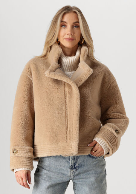 Camelfarbene IBANA Jack CHRIS - large