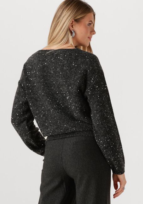 Dunkelgrau JANSEN AMSTERDAM Pullover ANOUK TRUI HK 151 ROUND NECKLINE - large