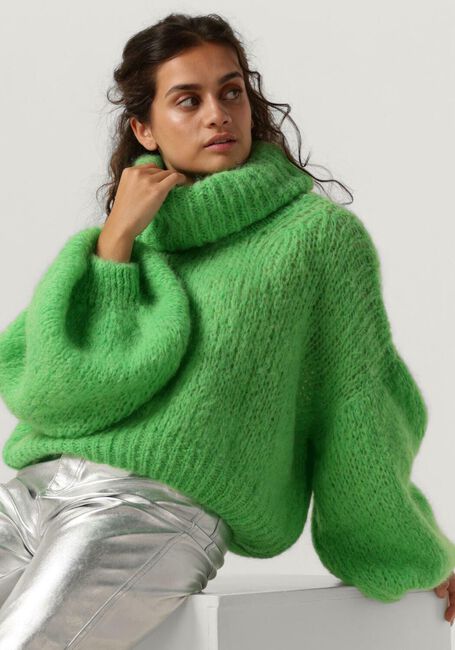 Gr&uuml;ne AMERICAN DREAMS Rollkragenpullover PEPPER ROLL NECK CROPPED - large
