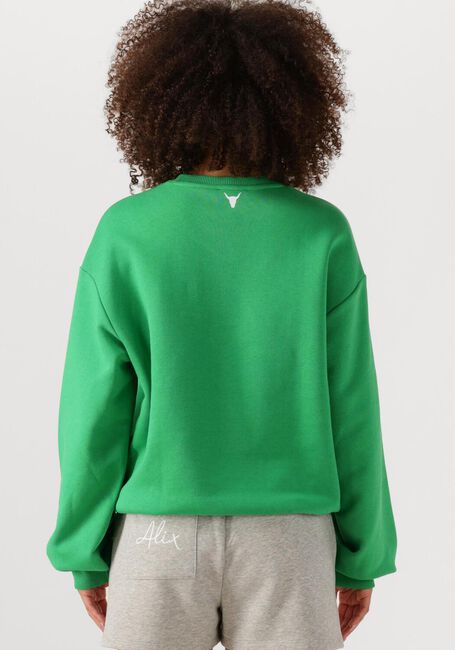 Grüne ALIX THE LABEL Pullover LADIES KNITTED CLEAN LOGO SWEATER - large