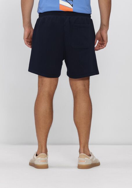 Dunkelblau TOMMY JEANS Kurze Hose TJM S FLAG BEACH SHORT EXT - large