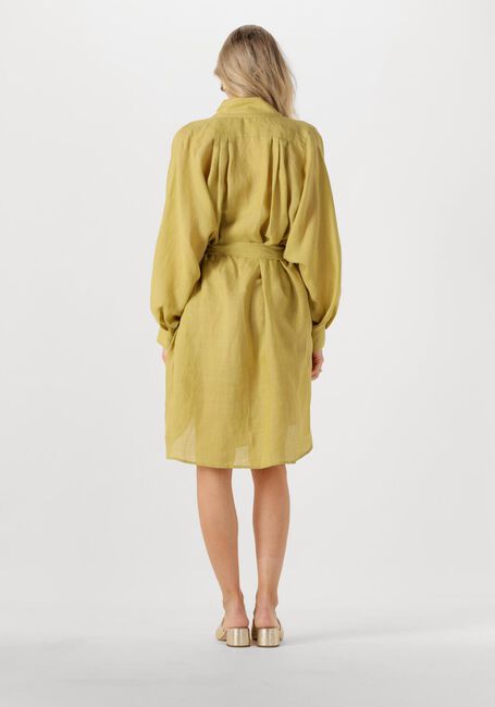 Grüne GREEK ARCHAIC KORI Midikleid 130463 - large