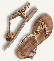 Braune LAZAMANI Flache Sandalen LA75029 Braune LAZAMANI Flache Sandalen LA75029 - medium