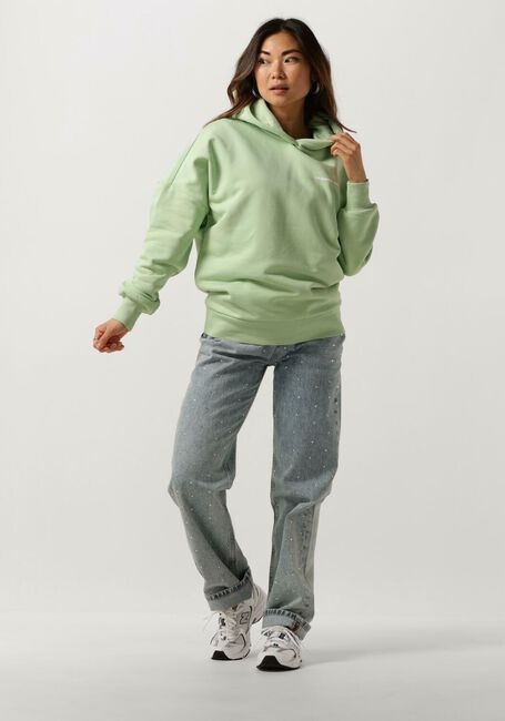 Minze COLOURFUL REBEL Pullover CR BACK LOGO DROPPED SHOULDER HOODIE - large