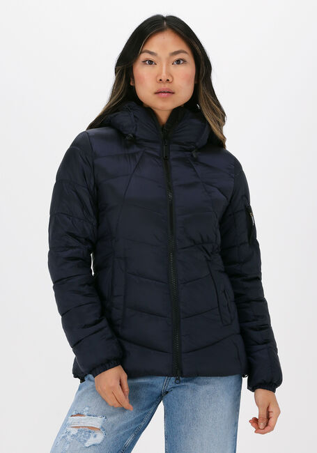 Dunkelblau NATIONAL GEOGRAPHIC Wattierte Jack RE DEVELOPED - large