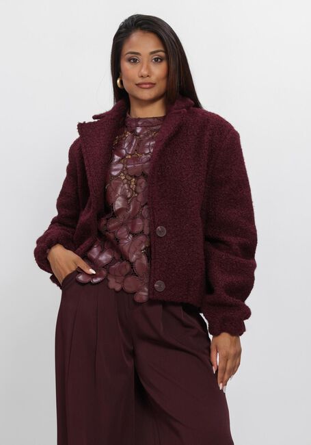 Bordeaux NUKUS Teddy-Jacke MADELIN JACKET BOUCLE - large