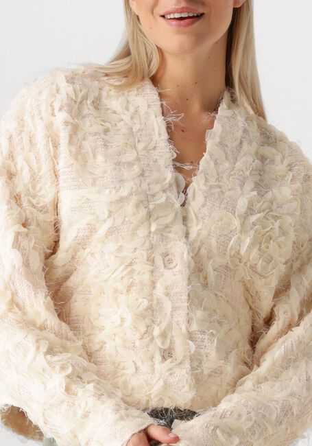 Creme AMAYA AMSTERDAM Strickjacke EVELYN VEST - large