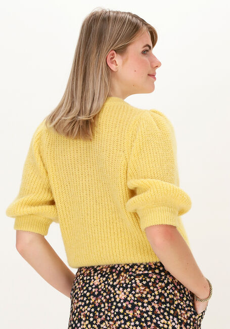 Gelbe FABIENNE CHAPOT Pullover JET PULLOVER - large