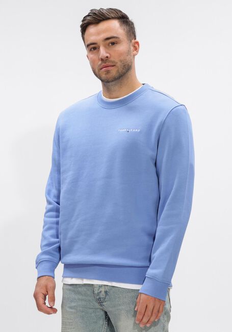 Beige TOMMY JEANS Sweatshirt TJM REG LINEAR CREW EXT - large