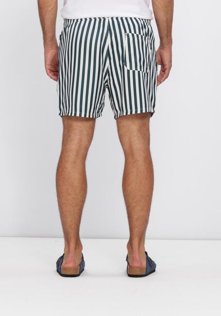 Gr&uuml;ne POCKIES Badehosen STRIPE SHORTIES - large