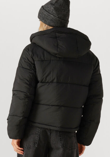 Schwarze TOMMY JEANS Wattierte Jack TJW HOODED PUFFER JACKET - large