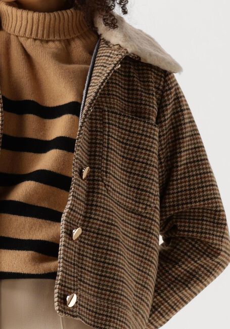 Braune SUNCOO Jack EDEN - large