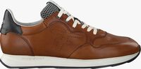 Cognacfarbene FLORIS VAN BOMMEL Sneaker low 16446 - medium