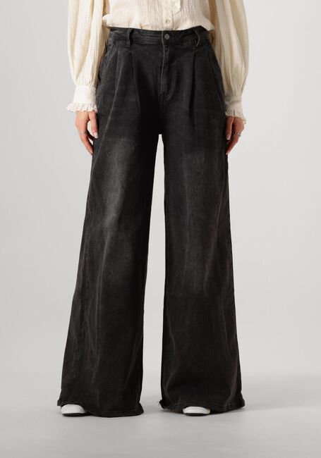 Graue JANICE Wide jeans DOLLAR JEANS - large