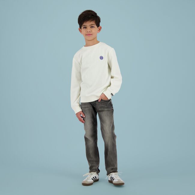 Graue RAIZZED Slim fit jeans BERLIN - large
