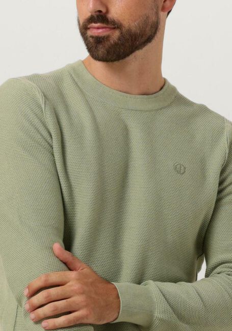 Grüne DSTREZZED Pullover MERCURY CREW - large