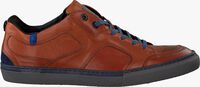 Cognacfarbene FLORIS VAN BOMMEL Sneaker low 14422 - medium
