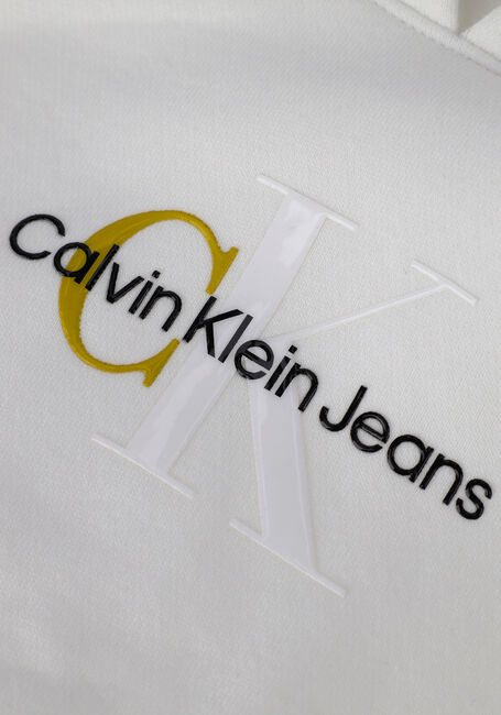 Weiße CALVIN KLEIN Pullover POLAROID SLEEVE PRINT HOODIE - large
