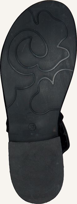 Schwarze MJUS Flache Sandalen 779002 Schwarze MJUS Flache Sandalen 779002 - large