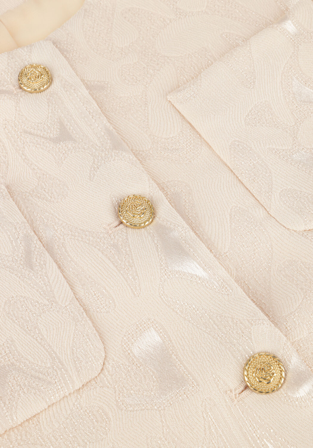 Silberfarbig AMAYA AMSTERDAM Blazer SILVER - large