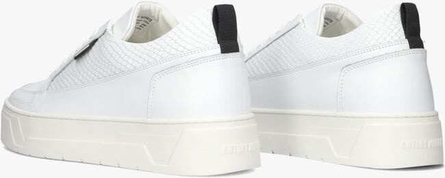 Weiße ANTONY MORATO Sneaker low MMFW01665 - large