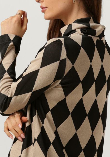 Braune ANA ALCAZAR Rollkragenpullover TURTLENECK TOP - large