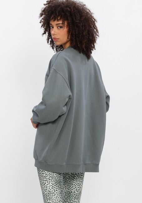 Gr&uuml;ne DEBLON SPORTS Sweatshirt PHOEBE SWEATER - large