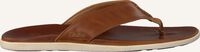 Cognacfarbene OLUKAI Pantolette NALUKAI SANDAL Cognacfarbene OLUKAI Pantolette NALUKAI SANDAL - medium