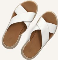 Weiße FITFLOP Pantolette IV5 Weiße FITFLOP Pantolette IV5 - medium