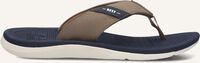 Taupe REEF Zehentrenner SANTA ANA BOYS Taupe REEF Zehentrenner SANTA ANA BOYS - medium