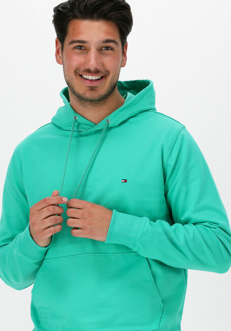 Grüne TOMMY HILFIGER Sweatshirt 1985 HOODY - large