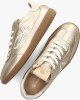 Goldfarbene FRED DE LA BRETONIERE Sneaker low PEARL SIGN - medium