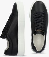 Schwarze BLACKSTONE Sneaker low MAE - medium