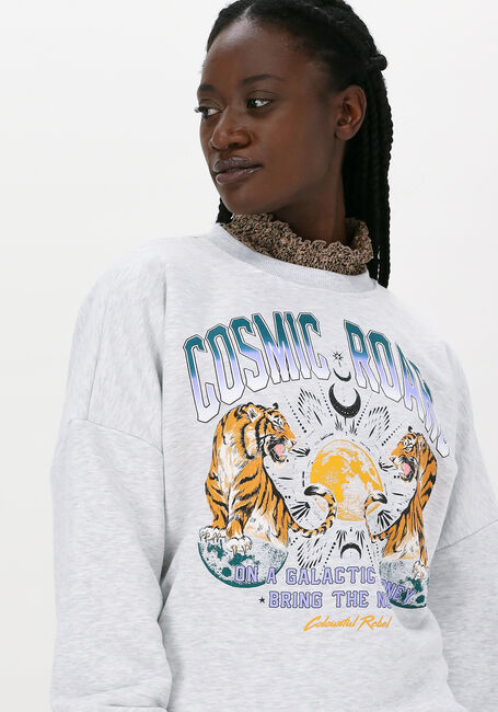 Hellgrau COLOURFUL REBEL Sweatshirt COSMIC ROARS DROPPED SHOULDER  - large