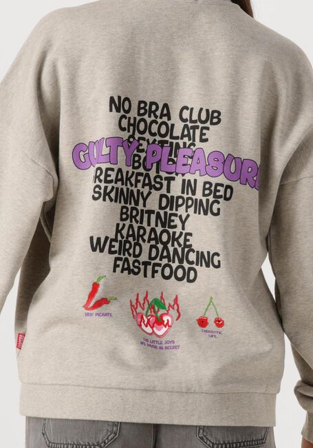 Graue HARPER & YVE Pullover GUILTYLIST-SW - large