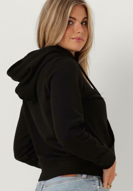 Schwarze TOMMY JEANS Sweatshirt REG SERIF LINEAR HOODIE - large