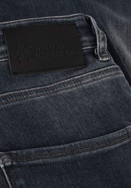 Graue INDIAN BLUE JEANS Slim fit jeans BLUE GREY JAY TAPERED FIT - large