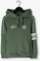 Grüne MALELIONS Sweatshirt HOODIE - medium