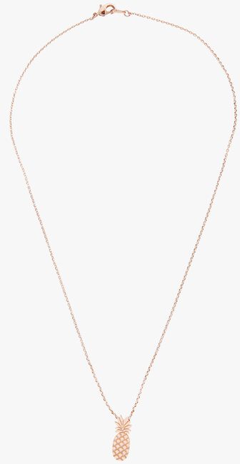 Goldfarbene ALLTHELUCKINTHEWORLD Kette ELEMENTS NECKLACE TALL PINEAPP - large