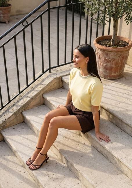 NOTRE-V Top NV-HERMA - large