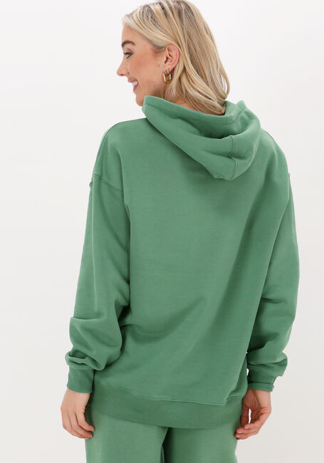 Grüne COLOURFUL REBEL Sweatshirt UNI OVERSIZED HOODIE - large