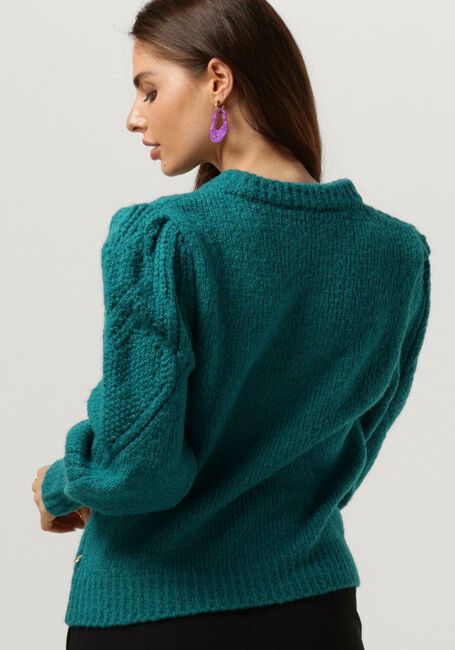 Grüne FABIENNE CHAPOT Pullover CATHY PULLOVER 208 - large
