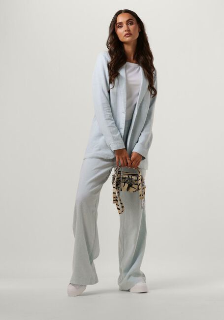 Hellblau MSCH COPENHAGEN Hose MSCHKARIMA GINIA PANTS - large