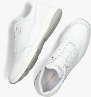 Weiße VAN LIER Sneaker low 2317618 - medium