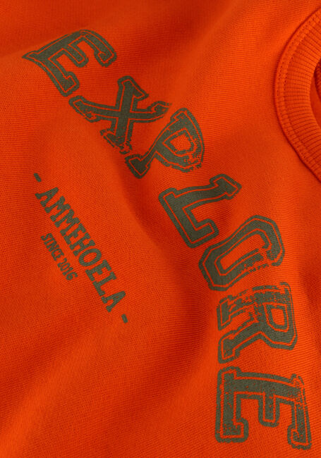 Orangene AMMEHOELA Sweatshirt AM.ROCKY.54 - large