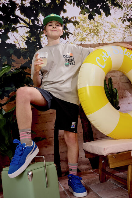 Graue Z8 T-shirt FAREL - large