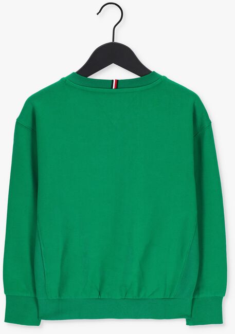 Grüne TOMMY HILFIGER Sweatshirt CORD APPLIQUE SWEATSHIRT - large