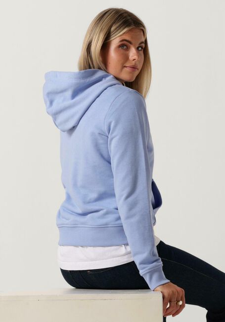 Hellblau TOMMY JEANS Sweatshirt REG SERIF LINEAR HOODIE - large