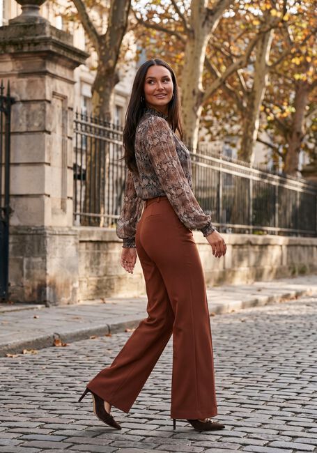 Mehrfarbige/Bunte AAIKO Top TORY SNAKE PES 554 - large